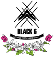 Black 6 Coffee Trading Co.