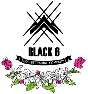 Black 6 Coffee Trading Co. logo