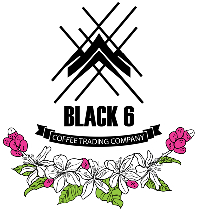 Black 6 Coffee Trading Co. logo
